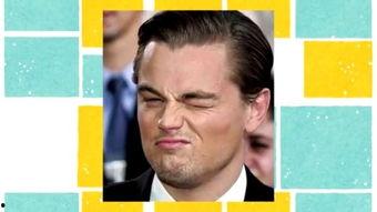 莱昂纳多表情包哪里有,从莱昂纳多表情包看网络文化的演变与传播